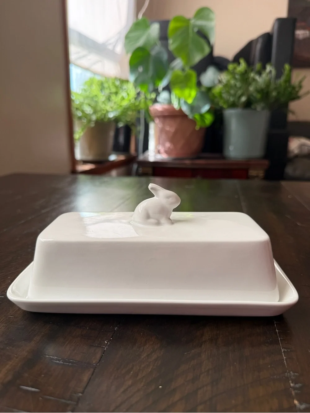 White Ceramic Bunny Butter Dish Very Good /Like new
